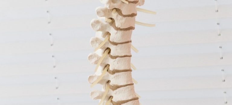 Cursos-de-quiropractica-gratis